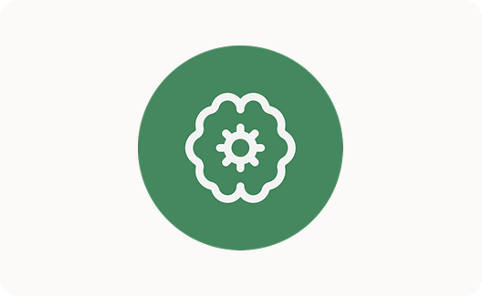 3D Management Model_Placeholder